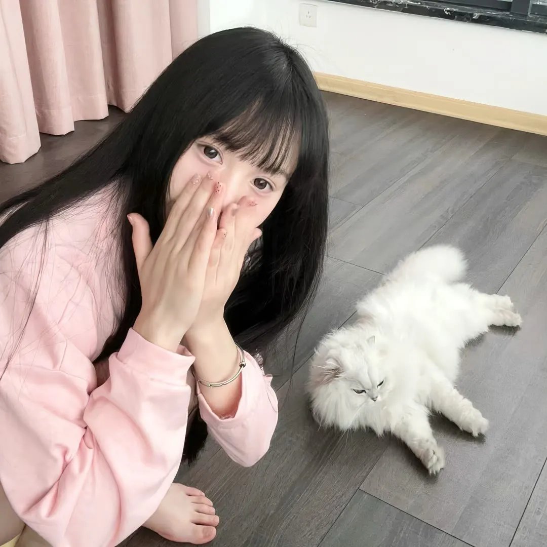 霍莉